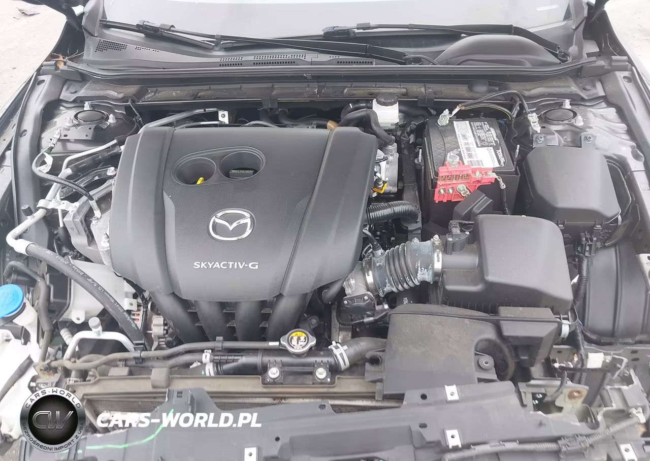 2019 Mazda Mazda3 Premium Package VIN:3MZBPAEM6KM100199 - 10