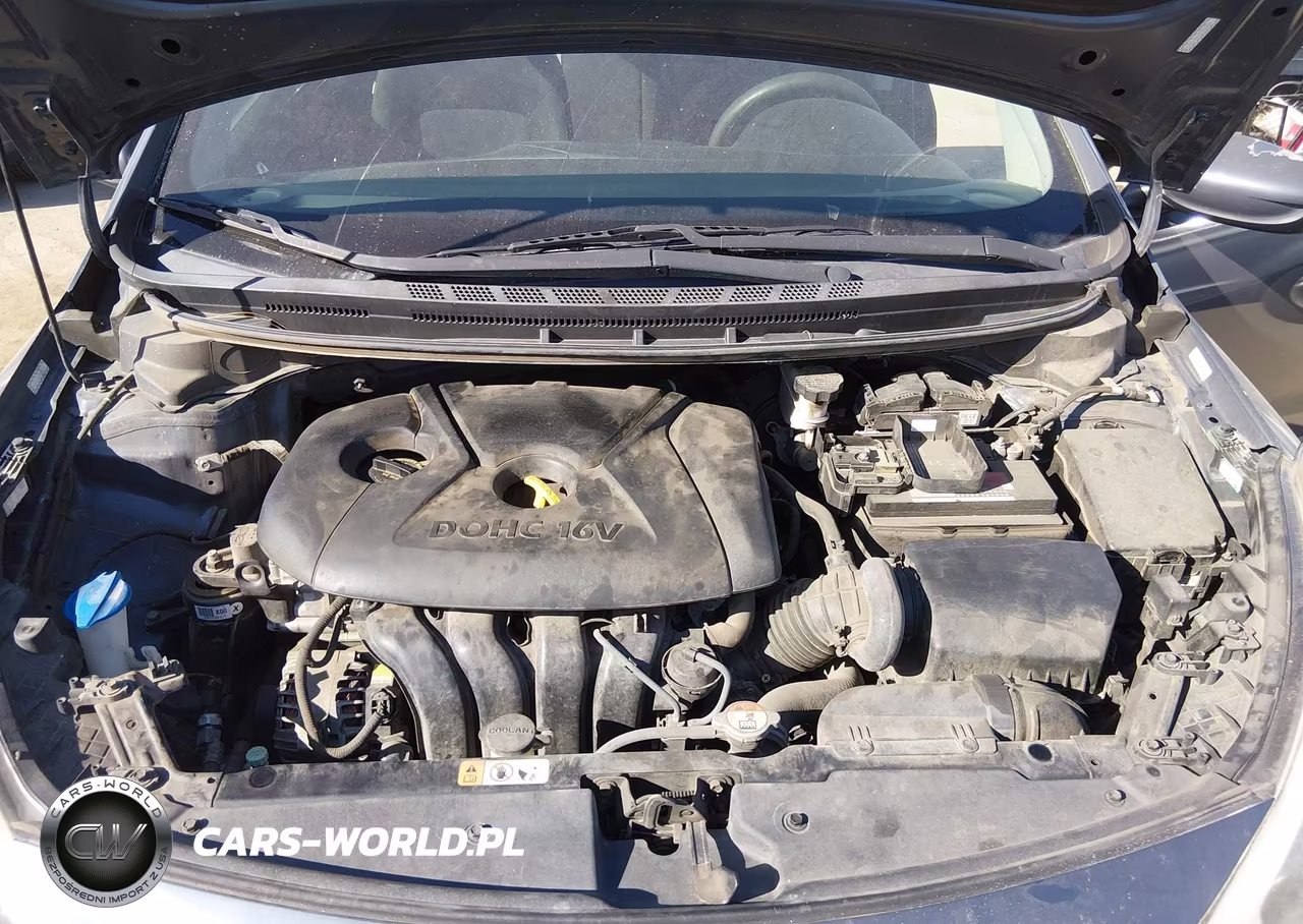 2016 Kia Forte Lx VIN:KNAFK4A64G5562086 - 10