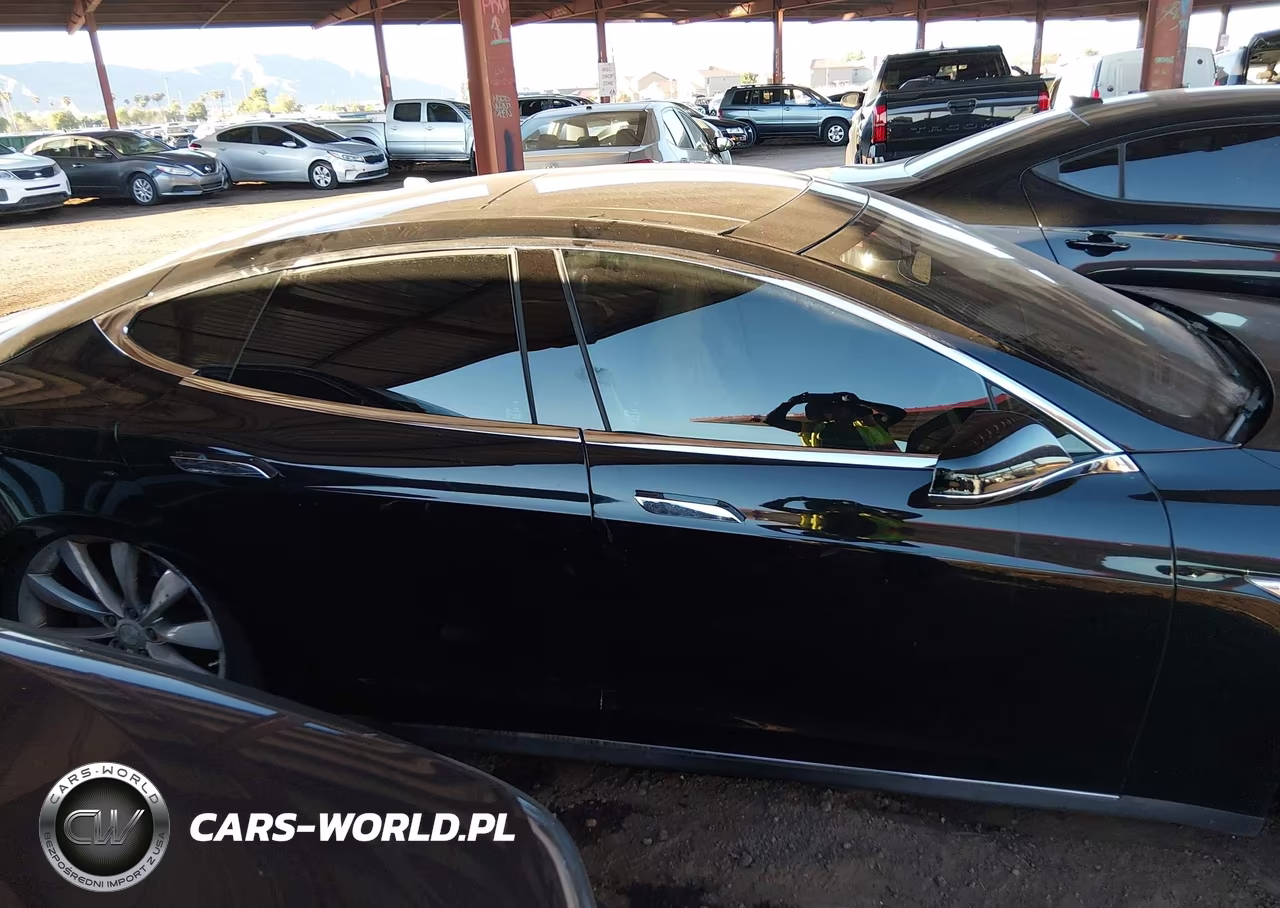 2013 Tesla Model S Performance VIN:5YJSA1CPXDFP21048 - 12