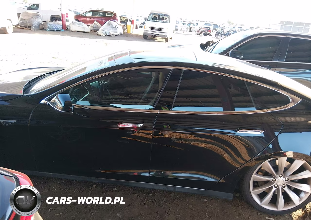 2013 Tesla Model S Performance VIN:5YJSA1CPXDFP21048 - 13