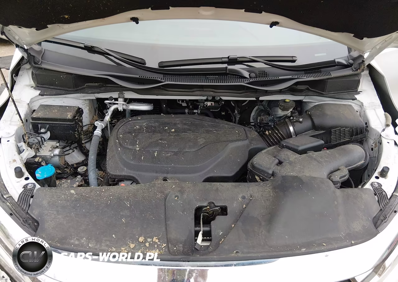 2024 Honda Odyssey Touring VIN:5FNRL6H80RB024910 - 10