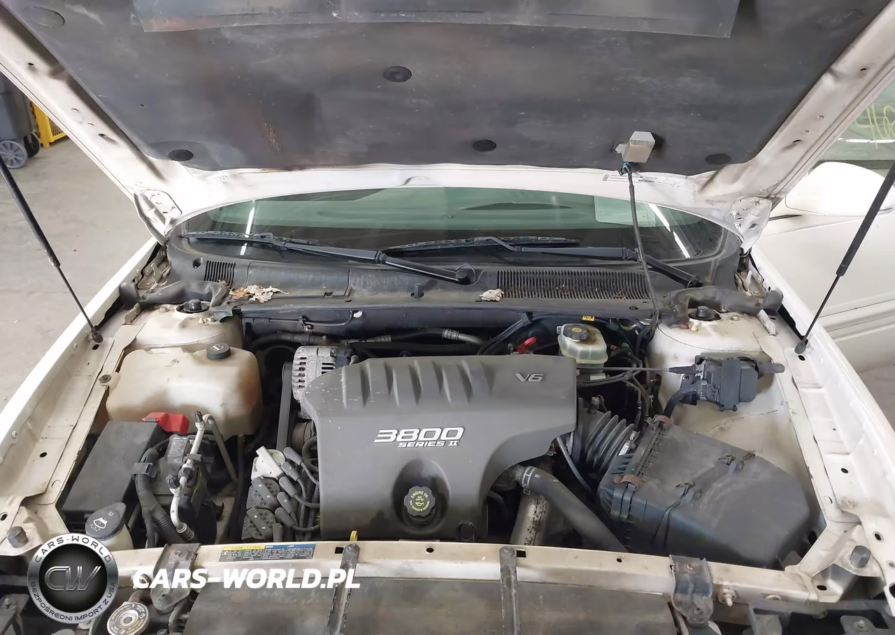 2002 Buick Lesabre Custom VIN:1G4HP54K324126545 - 10