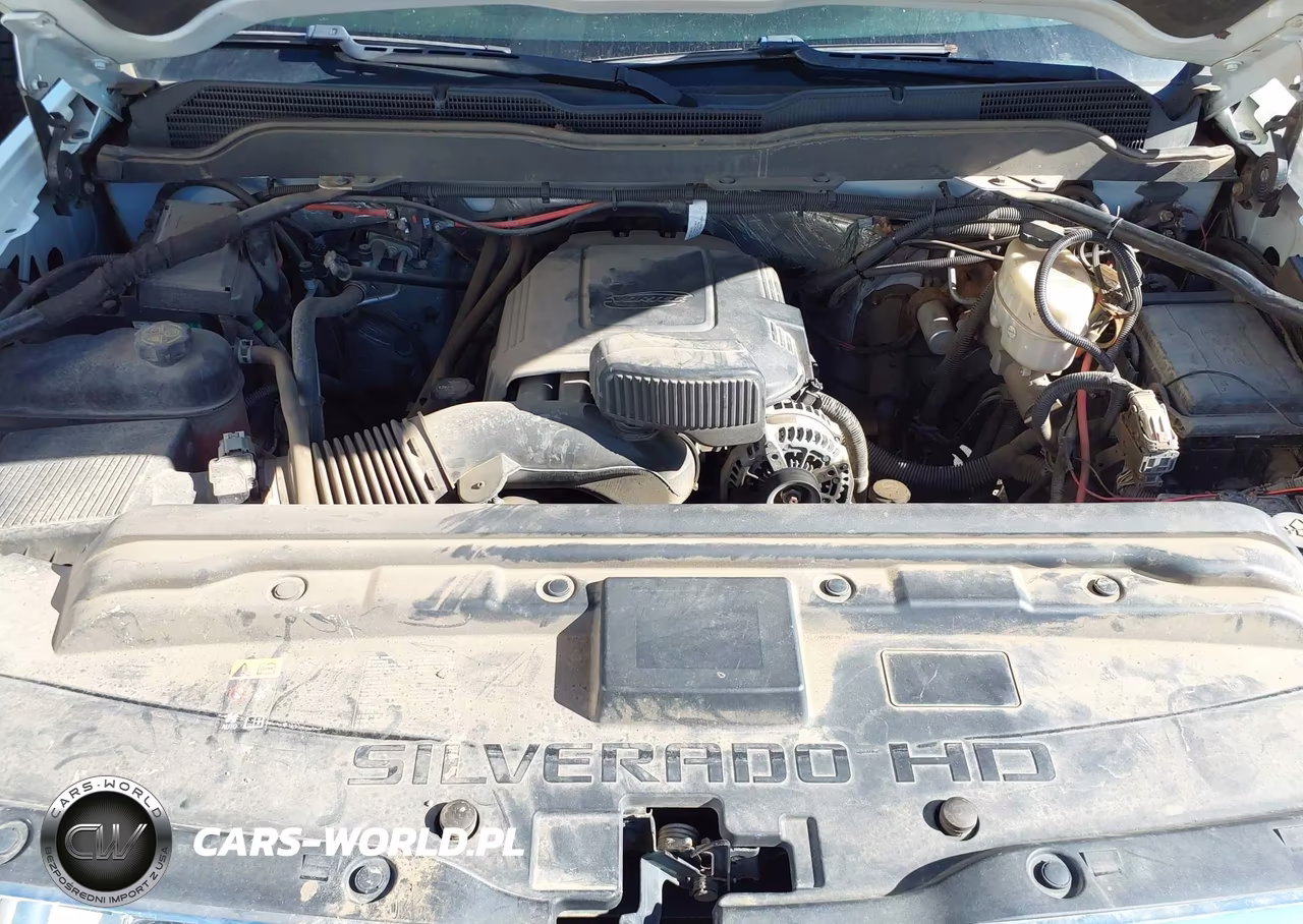 2015 Chevrolet Silverado 3500Hd Chassis Wt VIN:1GB3KYCG5FF575123 - 10
