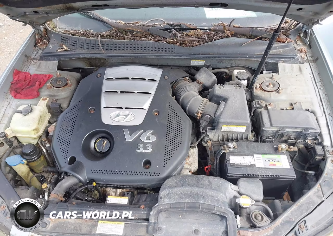 2007 Hyundai Sonata Limited-Se V6 VIN:5NPEU46F97H168813 - 10