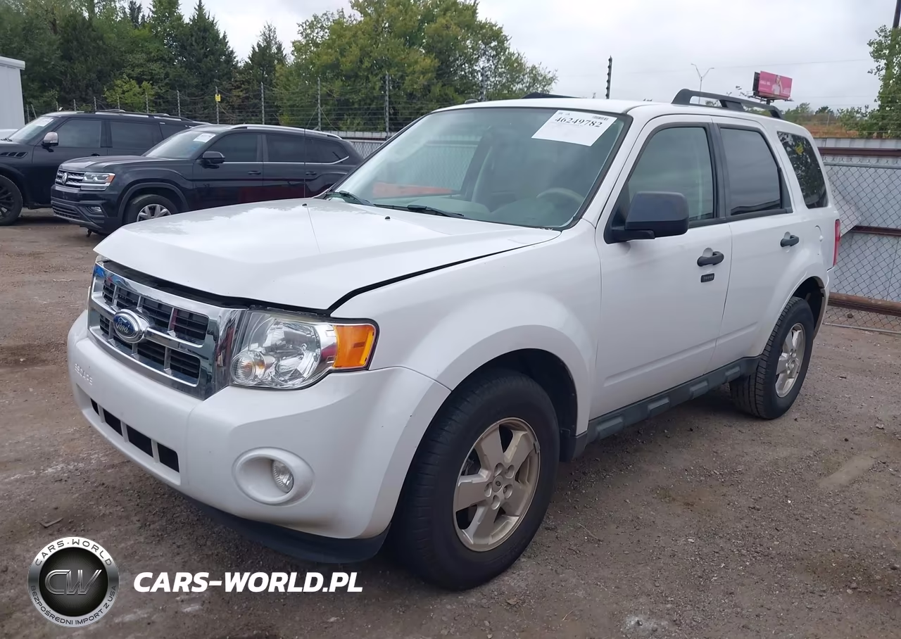 2011 Ford Escape Xlt VIN:1FMCU0DG8BKA98707 - 2