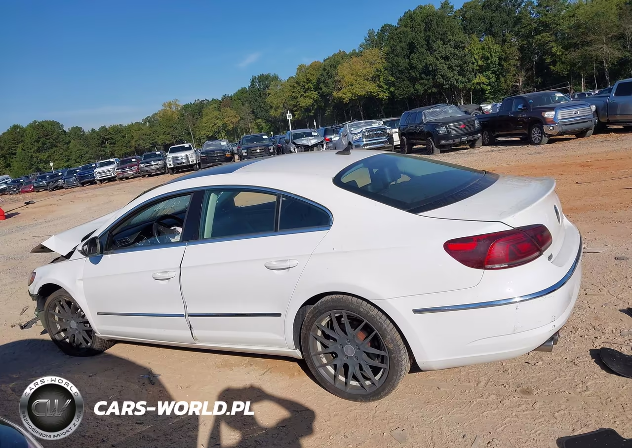 2013 Volkswagen Cc 2.0T Lux VIN:WVWRN7AN1DE506036 - 15