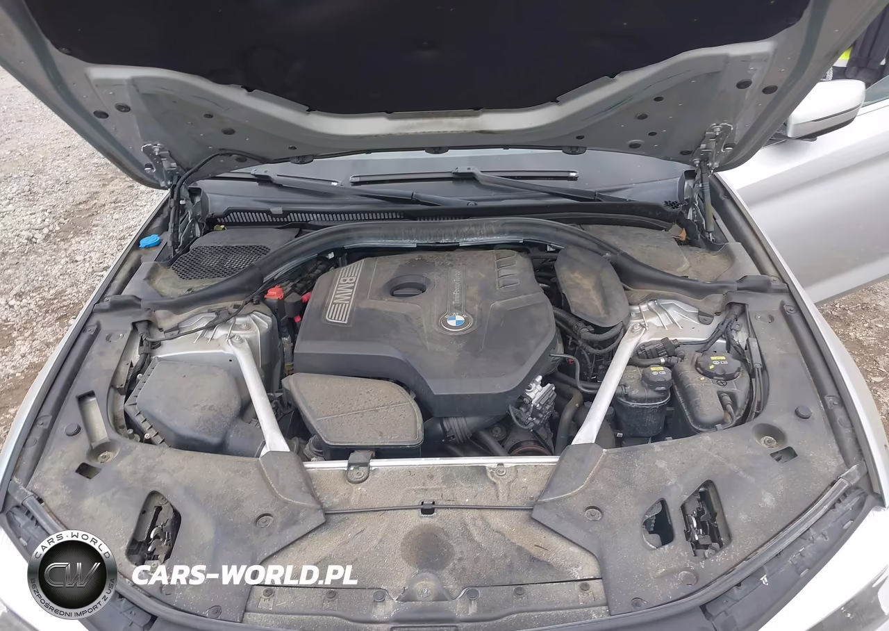 2019 BMW 530I xDrive VIN:WBAJA7C52KWW22663 - 10
