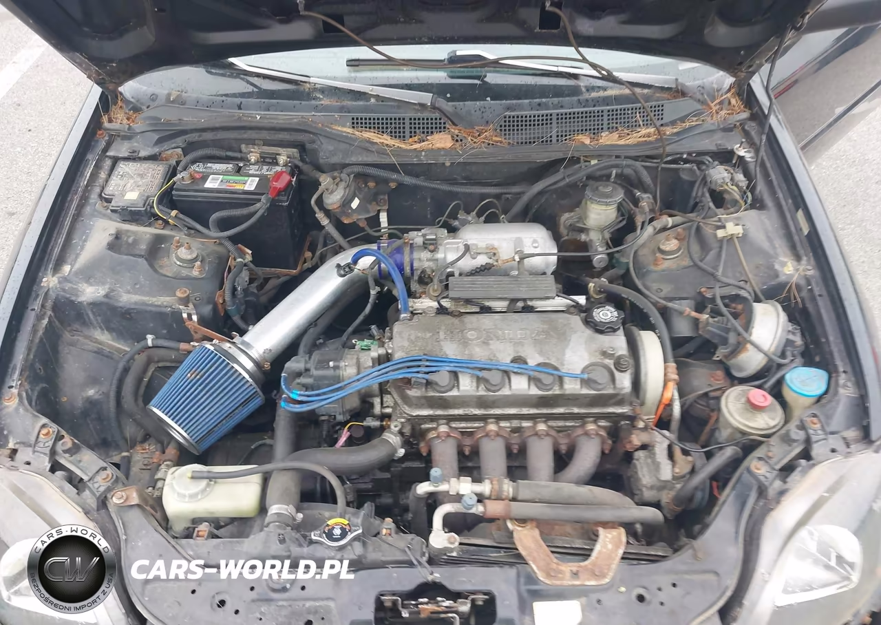 1997 Honda Civic Ex VIN:1HGEJ8245VL103116 - 10