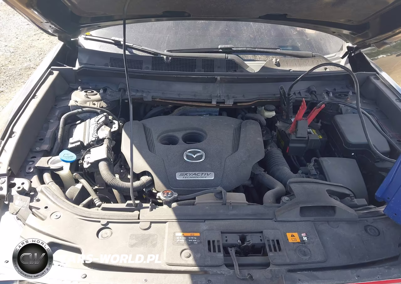 2016 Mazda Cx-9 Grand Touring VIN:JM3TCBDY6G0117969 - 10