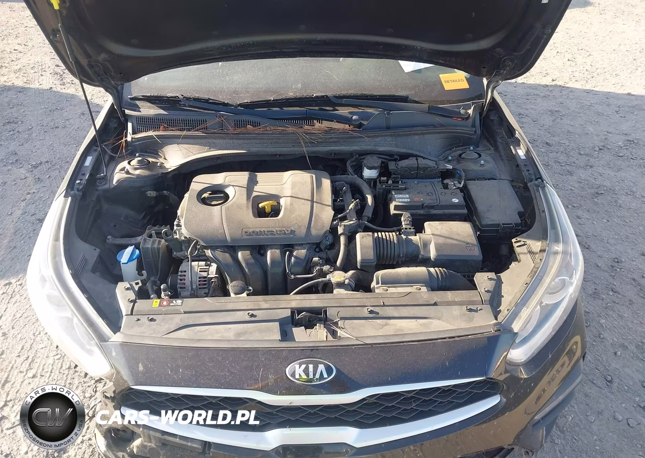 2020 Kia Forte Fe VIN:3KPF24AD7LE142547 - 10
