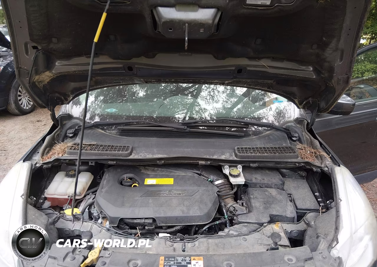 2016 Ford Escape Se VIN:1FMCU0GX1GUA51560 - 10