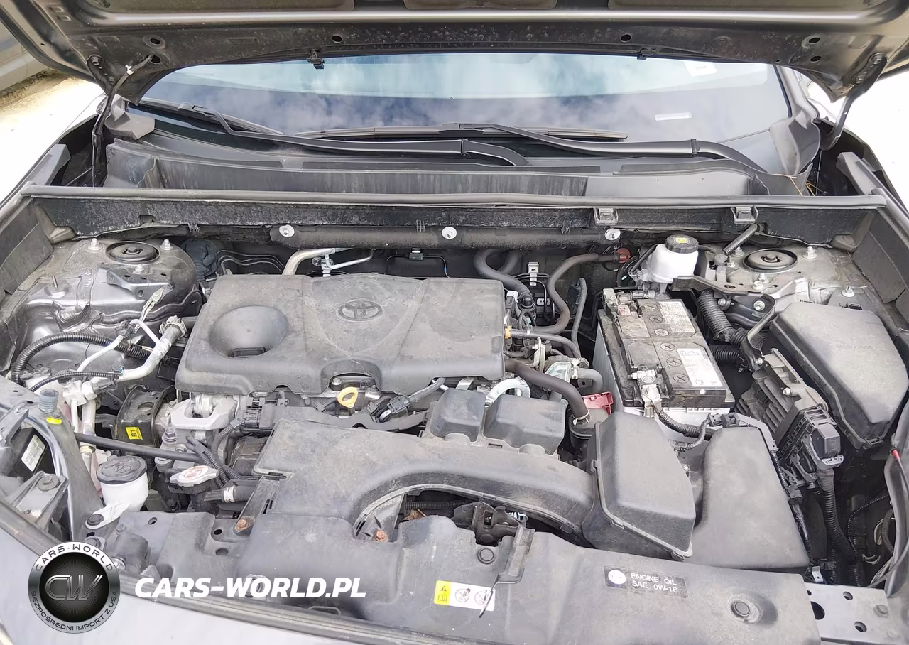 2024 Toyota Rav4 Xle VIN:2T3W1RFV2RC260408 - 10