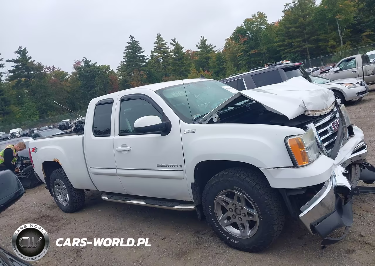 2009 GMC Sierra 1500 Sle VIN:1GTEK29079Z274691 - 13