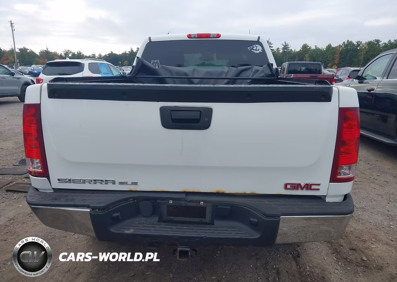 2009 GMC Sierra 1500 Sle VIN:1GTEK29079Z274691 - 16
