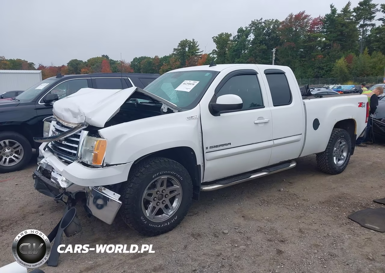 2009 GMC Sierra 1500 Sle VIN:1GTEK29079Z274691 - 2