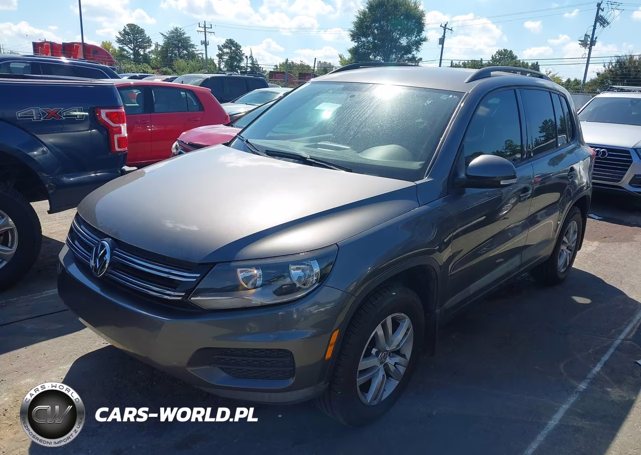 2015 Volkswagen Tiguan S VIN:WVGAV7AX1FW545295 - 2