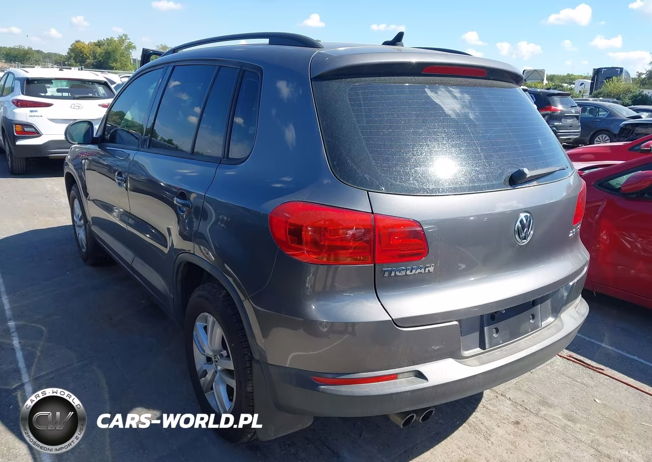 2015 Volkswagen Tiguan S VIN:WVGAV7AX1FW545295 - 3