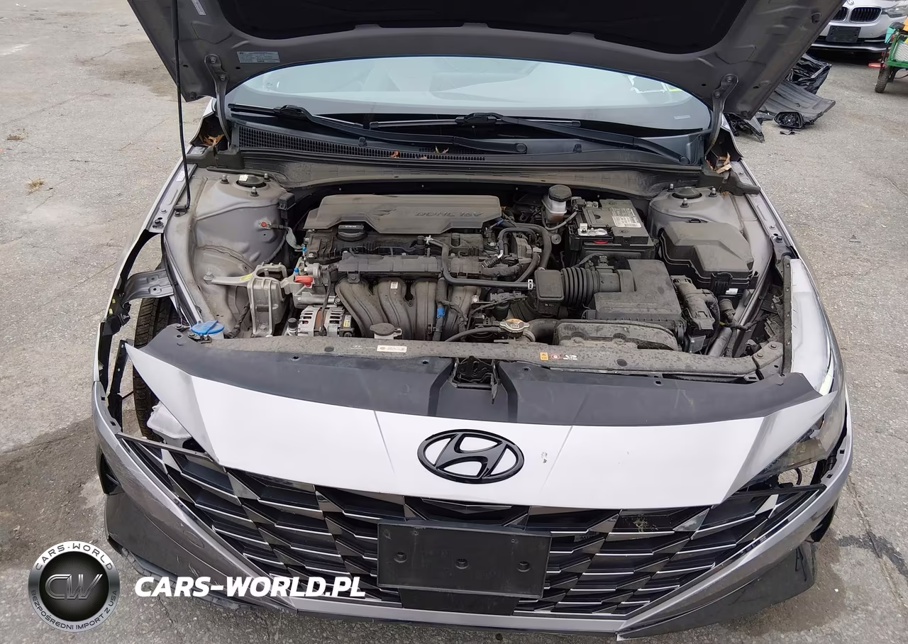 2021 Hyundai Elantra Sel VIN:KMHLN4AG3MU110052 - 10