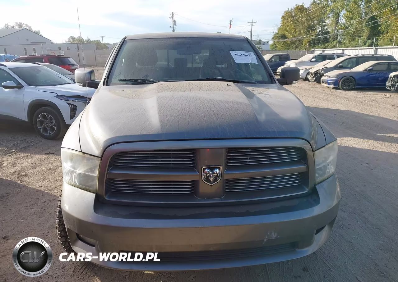 2010 Dodge Ram 1500 Slt-Sport-Trx VIN:1D7RV1CT0AS241346 - 12