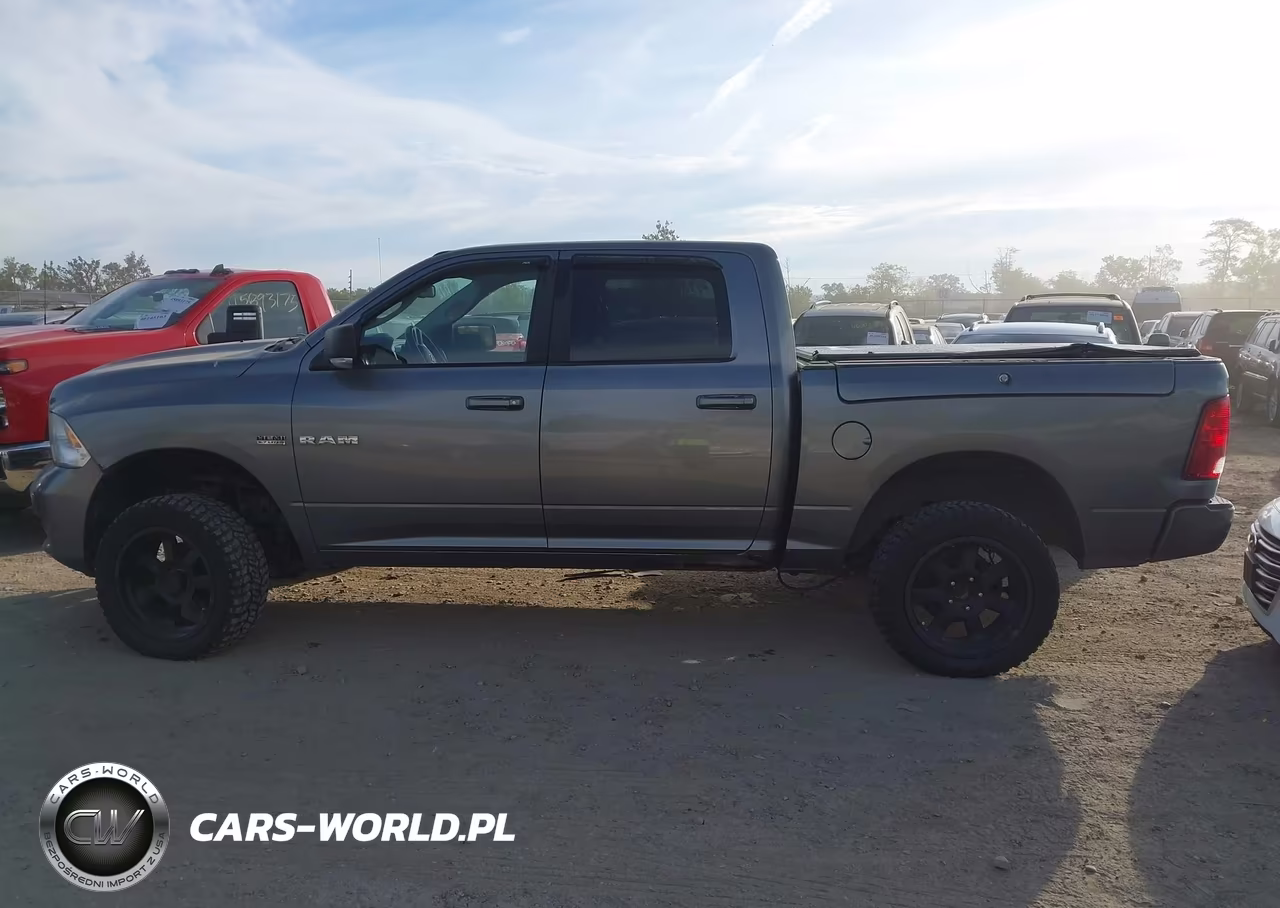 2010 Dodge Ram 1500 Slt-Sport-Trx VIN:1D7RV1CT0AS241346 - 14