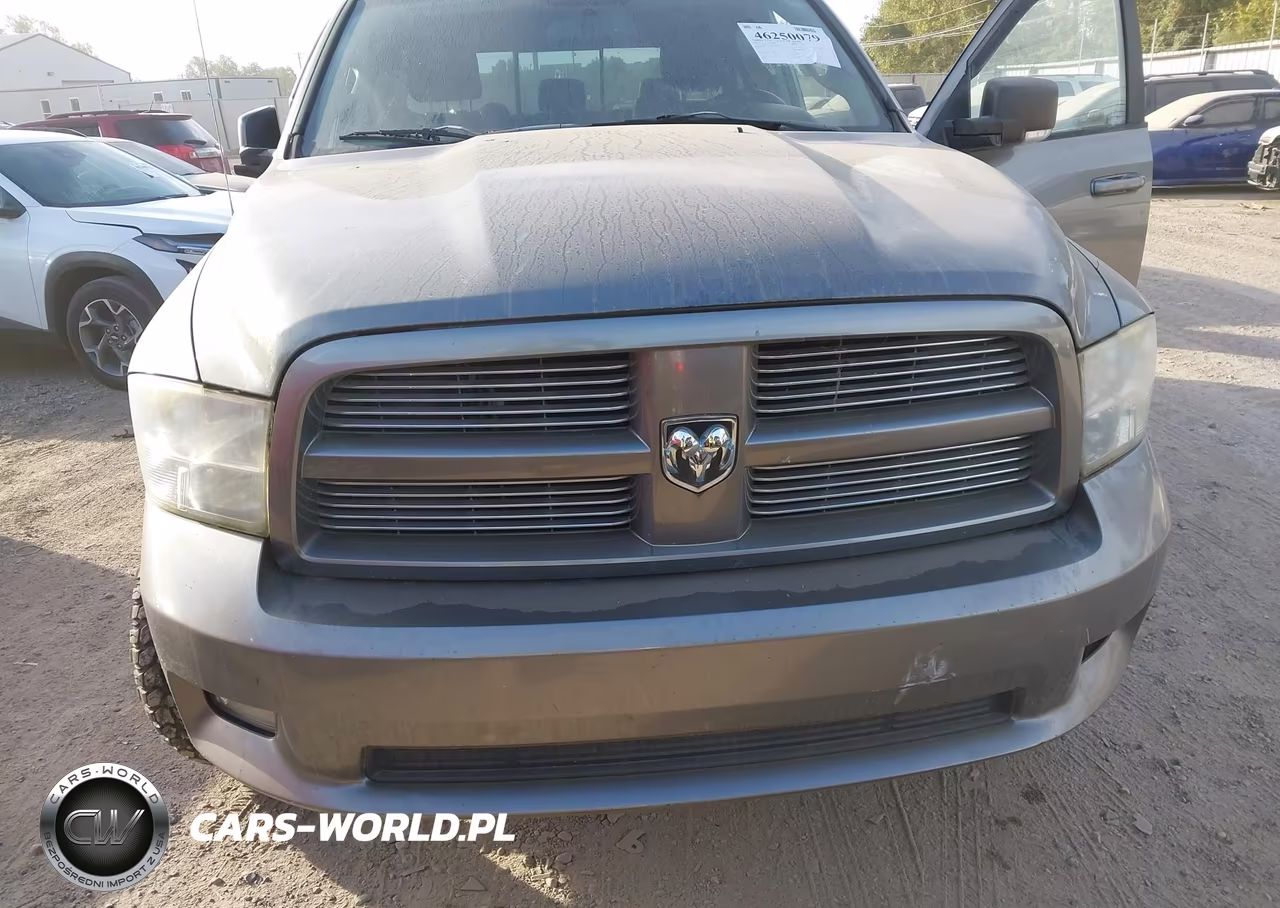 2010 Dodge Ram 1500 Slt-Sport-Trx VIN:1D7RV1CT0AS241346 - 6