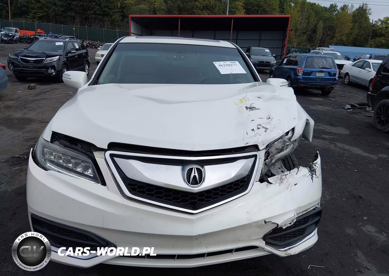 2017 Acura Rdx Acurawatch Plus Package VIN:5J8TB4H30HL036795 - 12