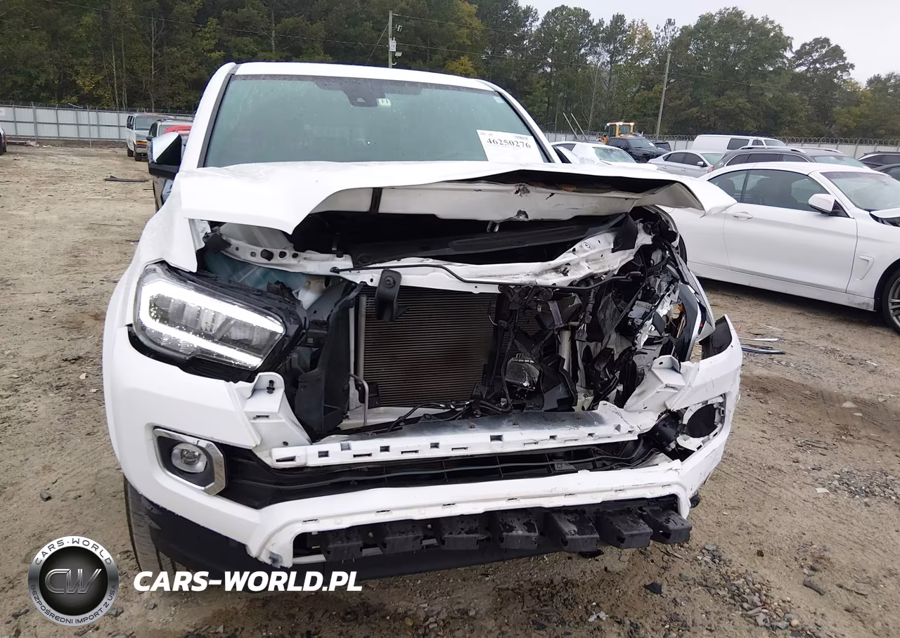 2020 Toyota Tacoma Limited VIN:3TMGZ5AN3LM354303 - 6