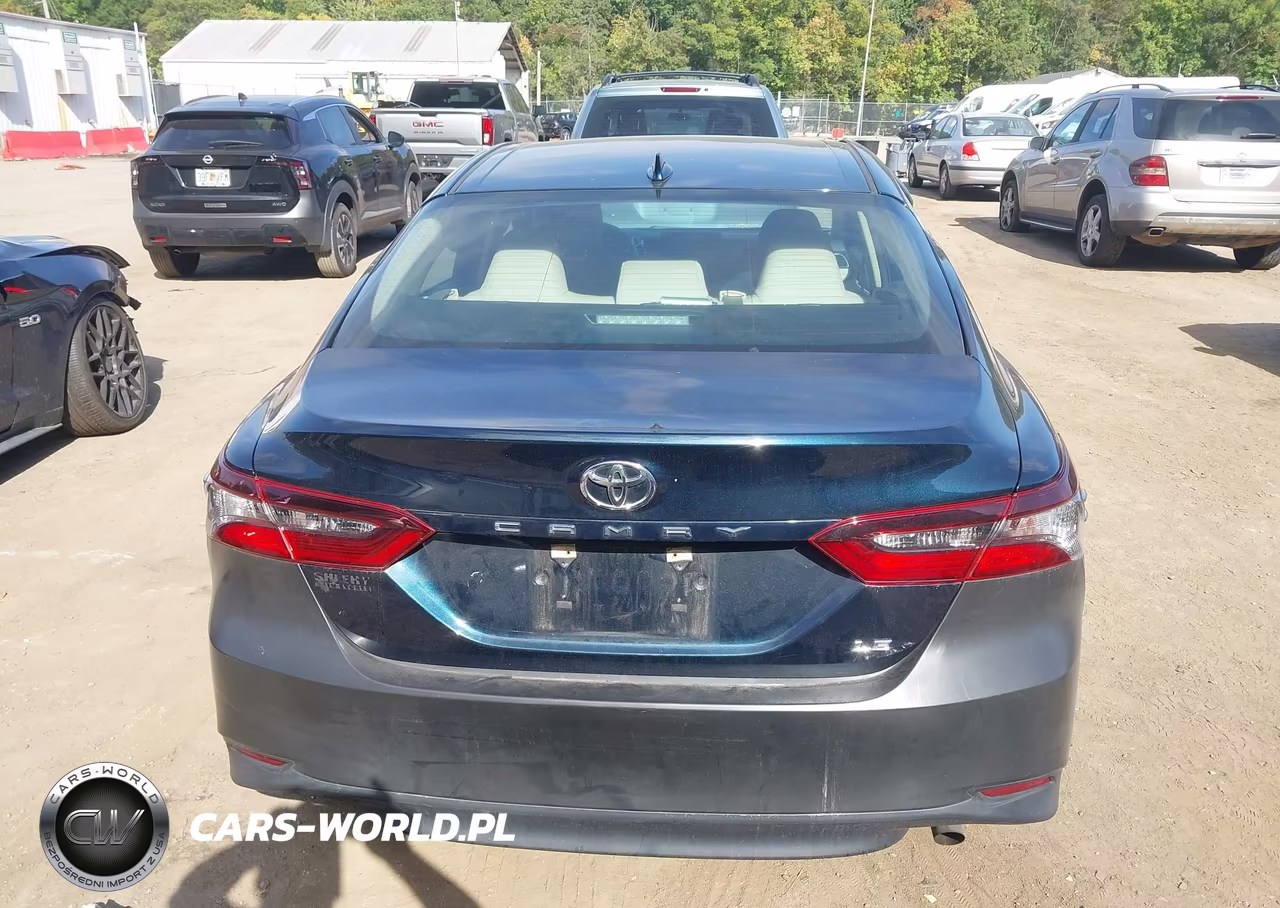 2021 Toyota Camry Le VIN:4T1C11AK0MU456039 - 17
