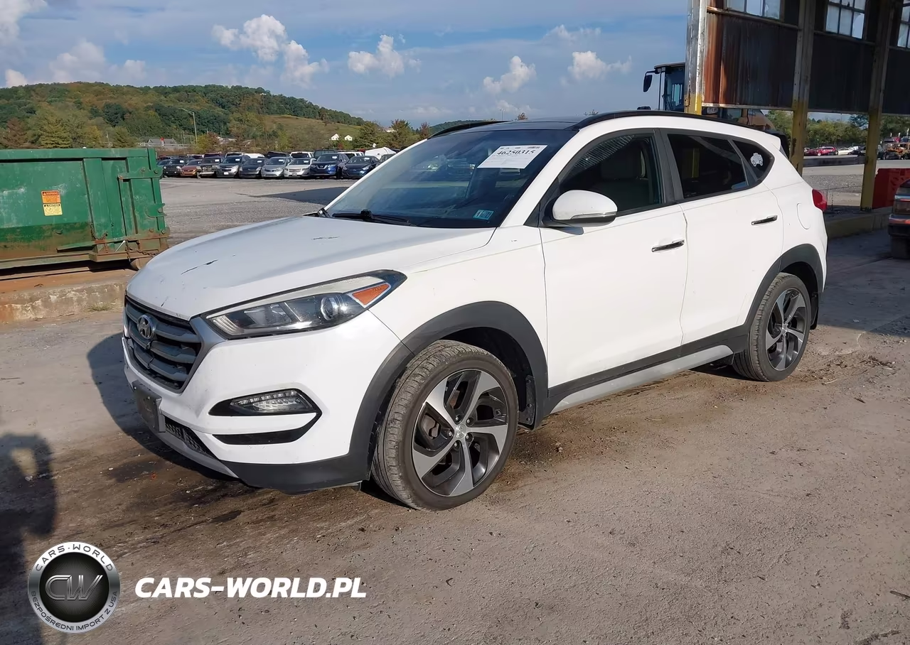 2018 Hyundai Tucson Limited VIN:KM8J3CA21JU759212 - 2