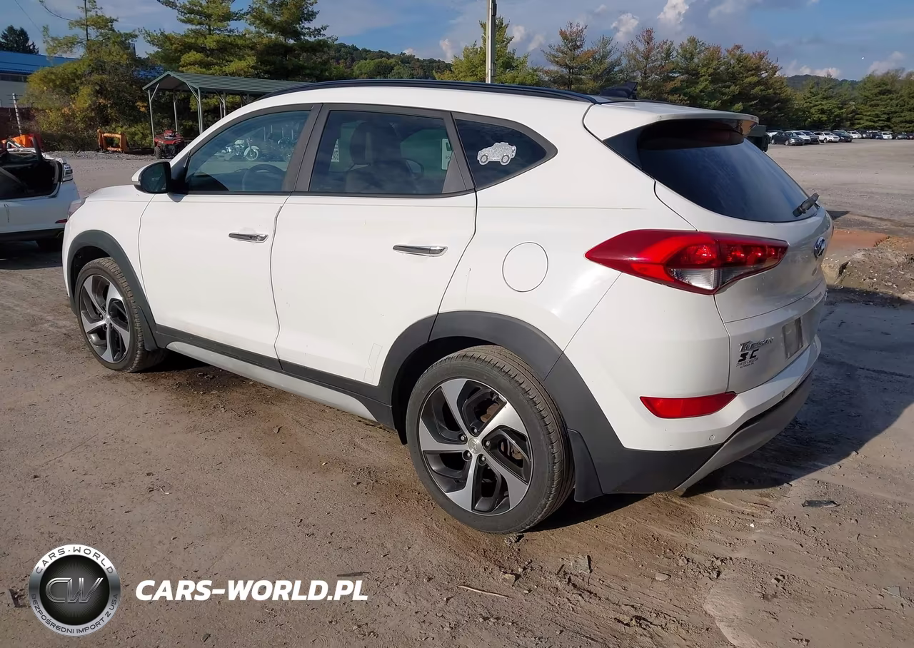 2018 Hyundai Tucson Limited VIN:KM8J3CA21JU759212 - 3
