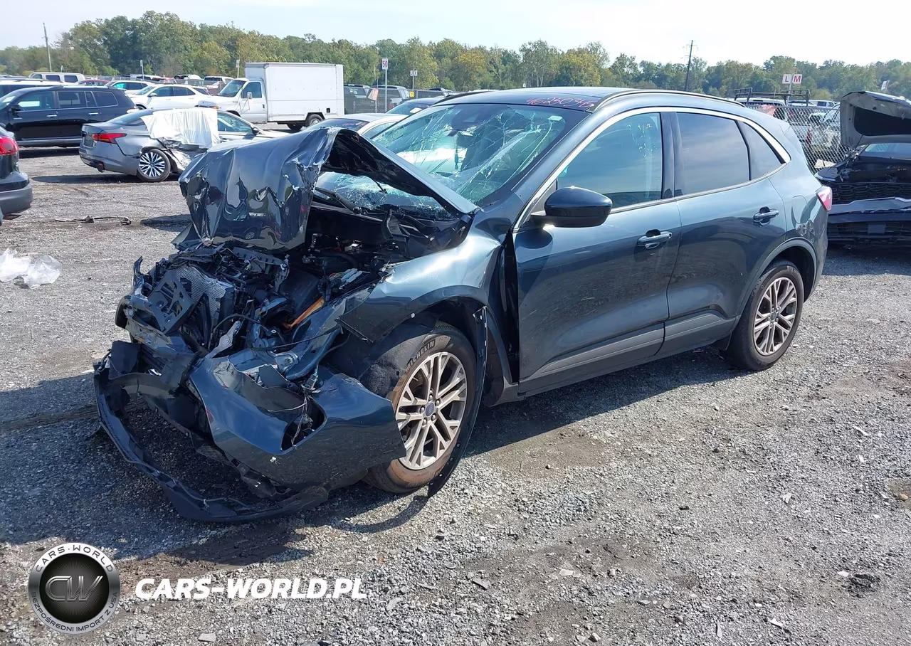 2022 Ford Escape Sel VIN:1FMCU0H63NUB34362 - 2