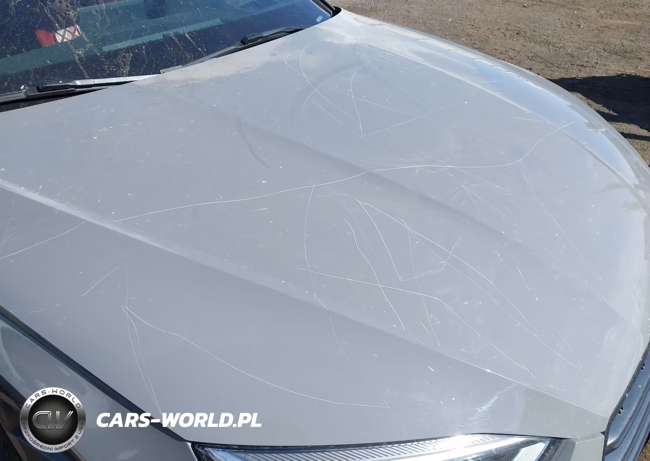 2019 Audi S5 3.0T Premium VIN:WAUC4CF53KA001742 - 17
