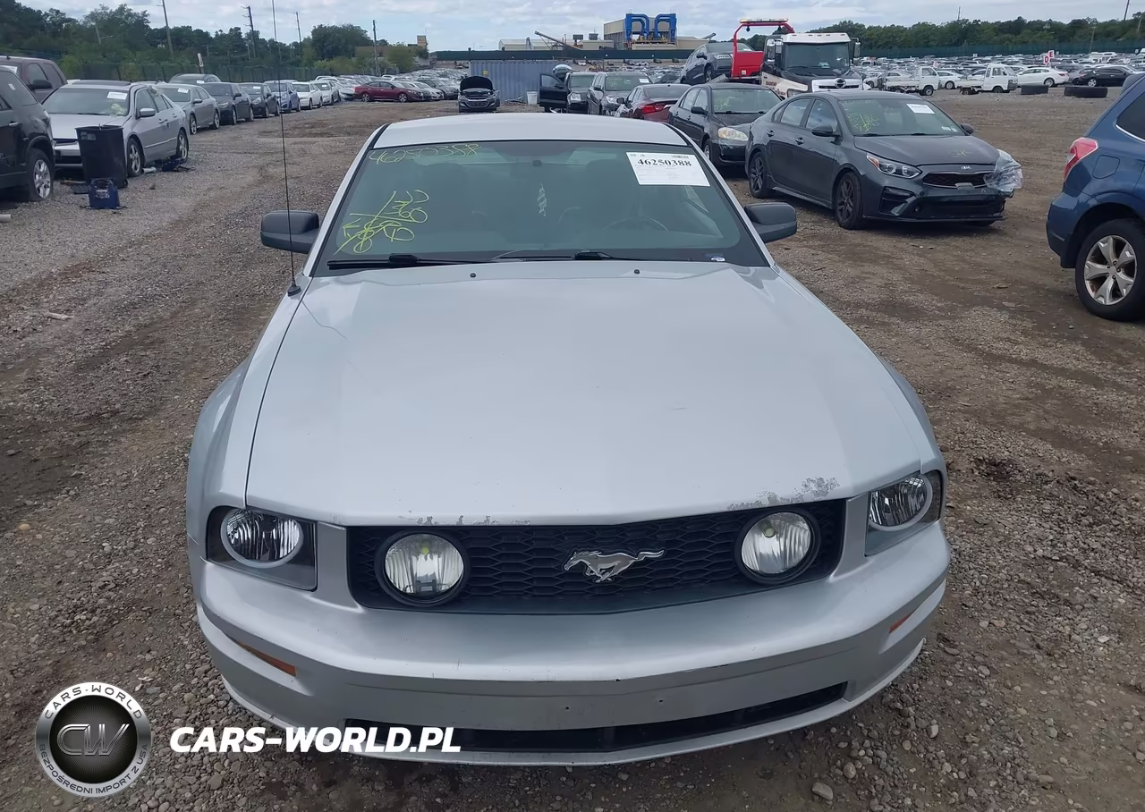 2006 Ford Mustang Gt VIN:1ZVFT82H065116567 - 12