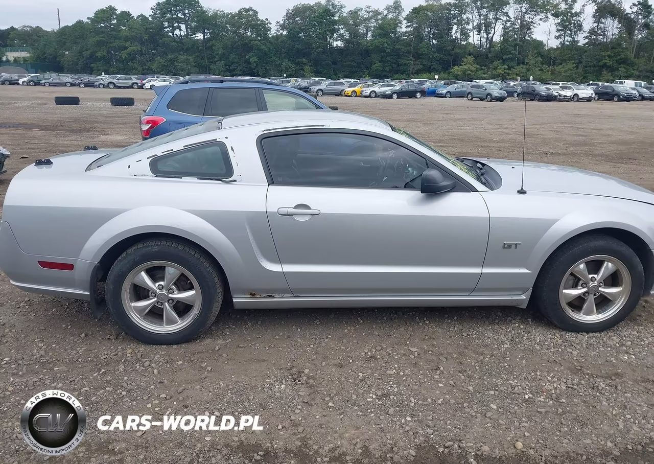 2006 Ford Mustang Gt VIN:1ZVFT82H065116567 - 13