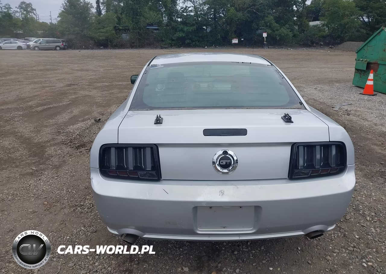 2006 Ford Mustang Gt VIN:1ZVFT82H065116567 - 16