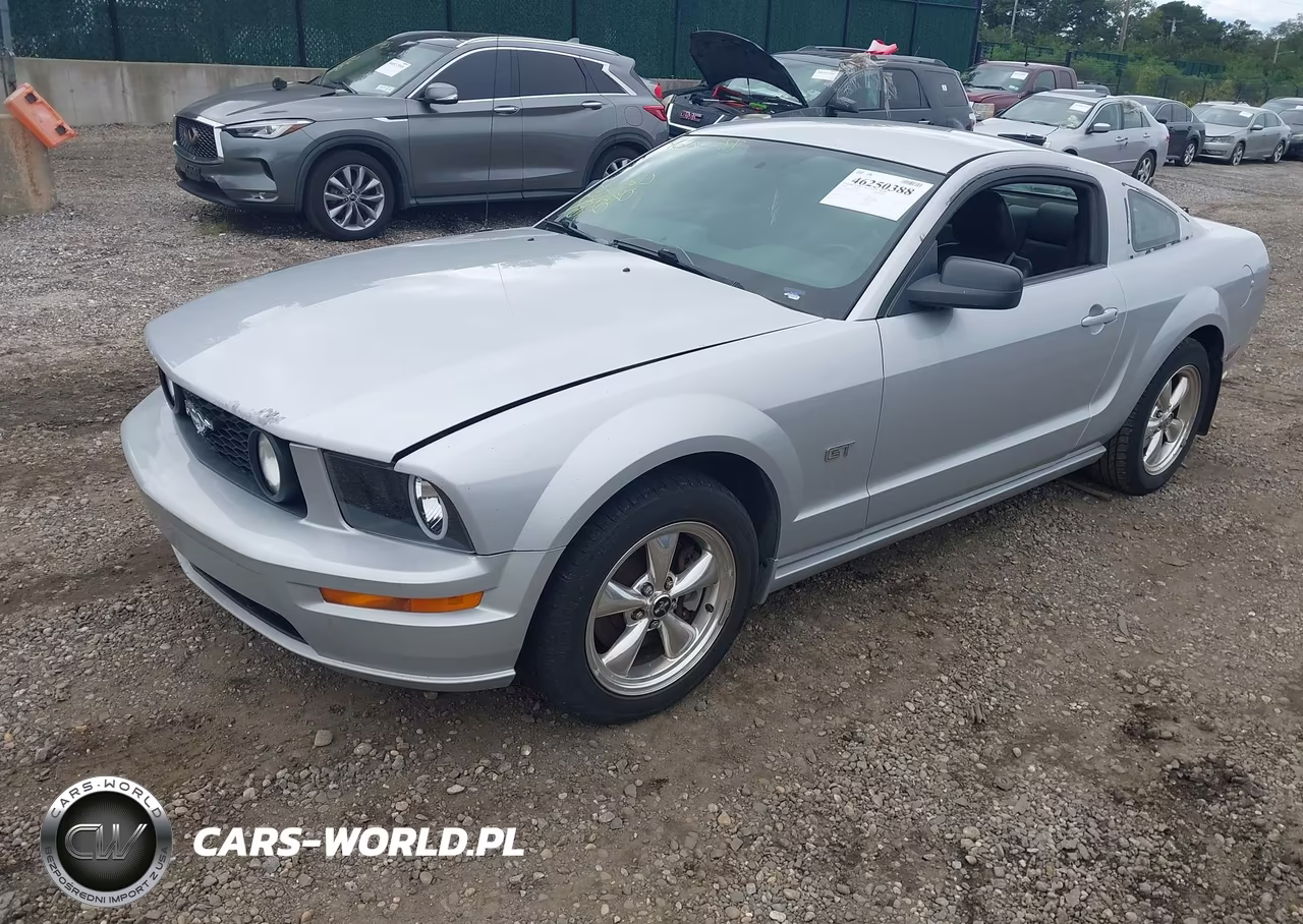 2006 Ford Mustang Gt VIN:1ZVFT82H065116567 - 2