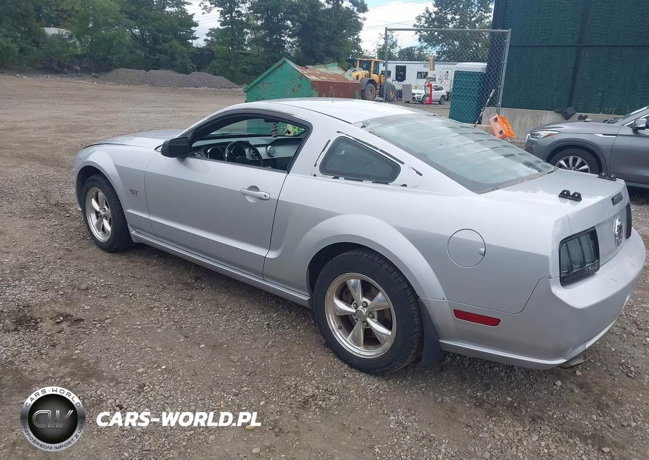 2006 Ford Mustang Gt VIN:1ZVFT82H065116567 - 3