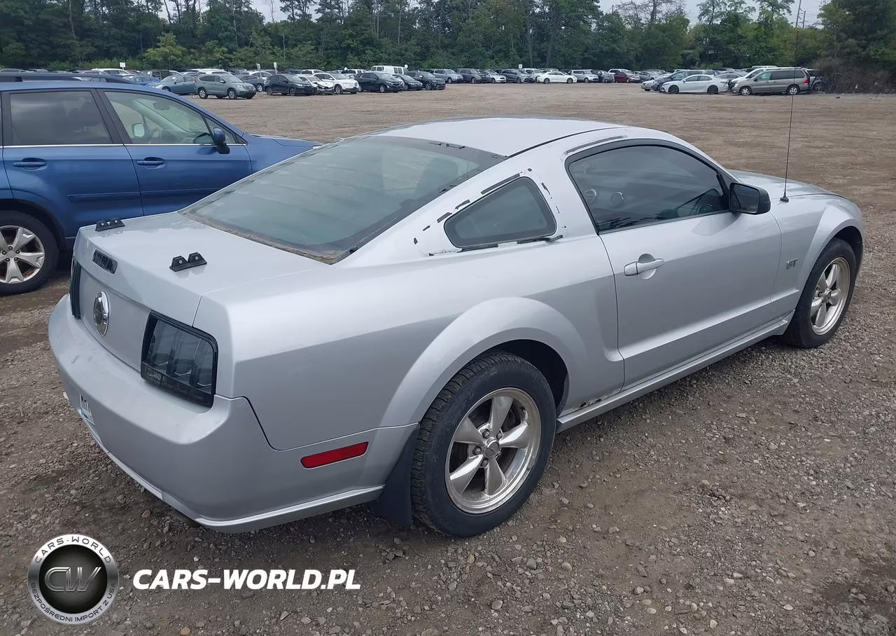 2006 Ford Mustang Gt VIN:1ZVFT82H065116567 - 4
