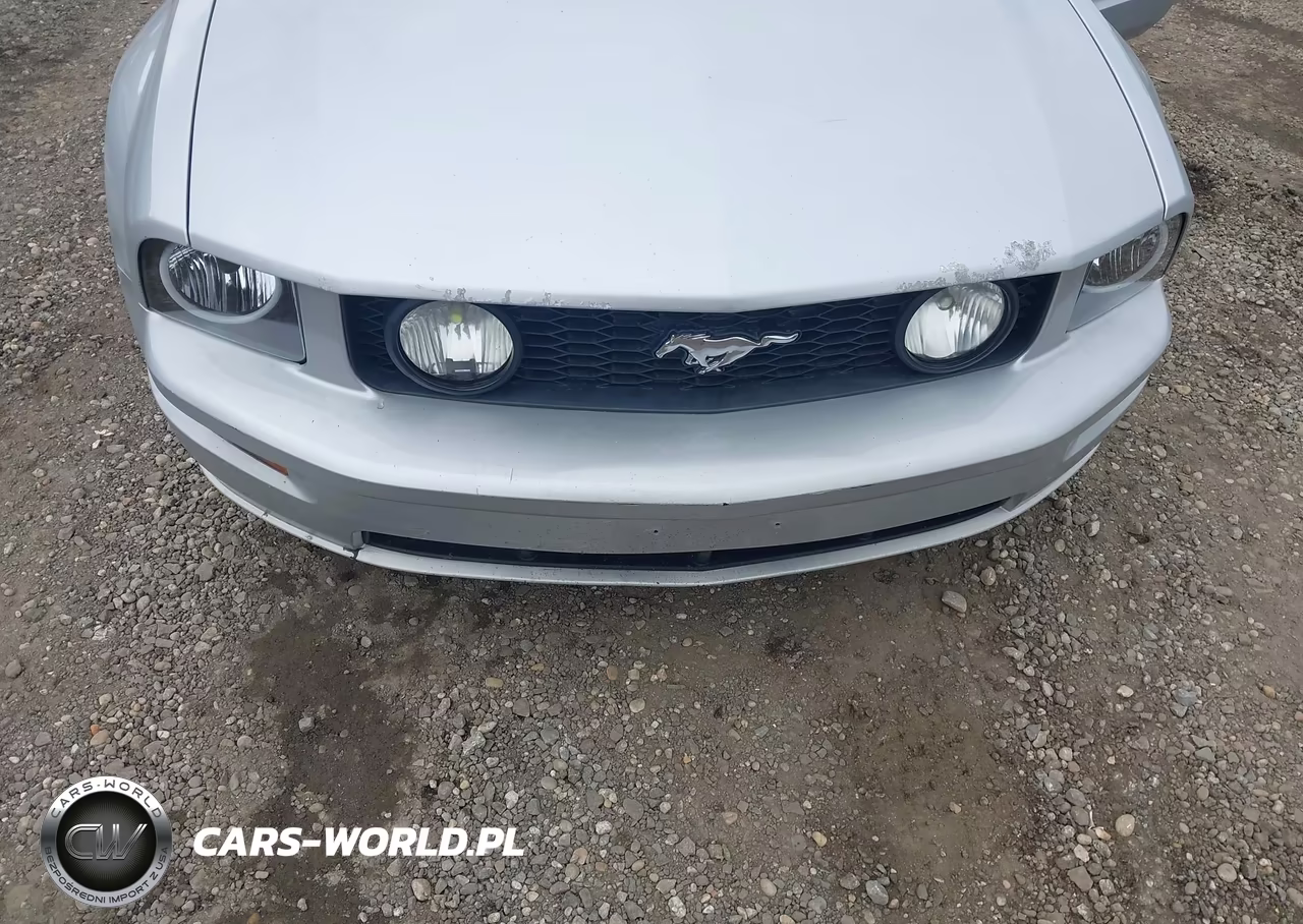 2006 Ford Mustang Gt VIN:1ZVFT82H065116567 - 6