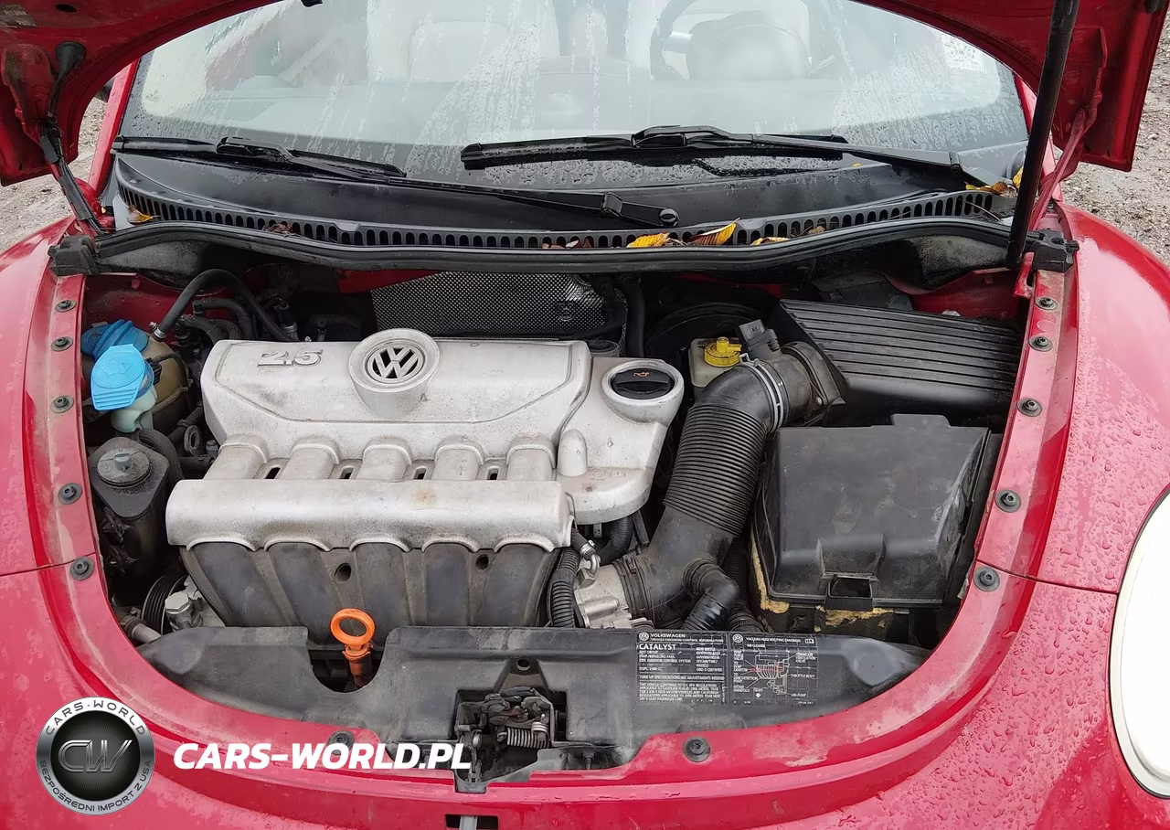 2006 Volkswagen New Beetle 2.5 VIN:3VWSF31Y46M319627 - 10