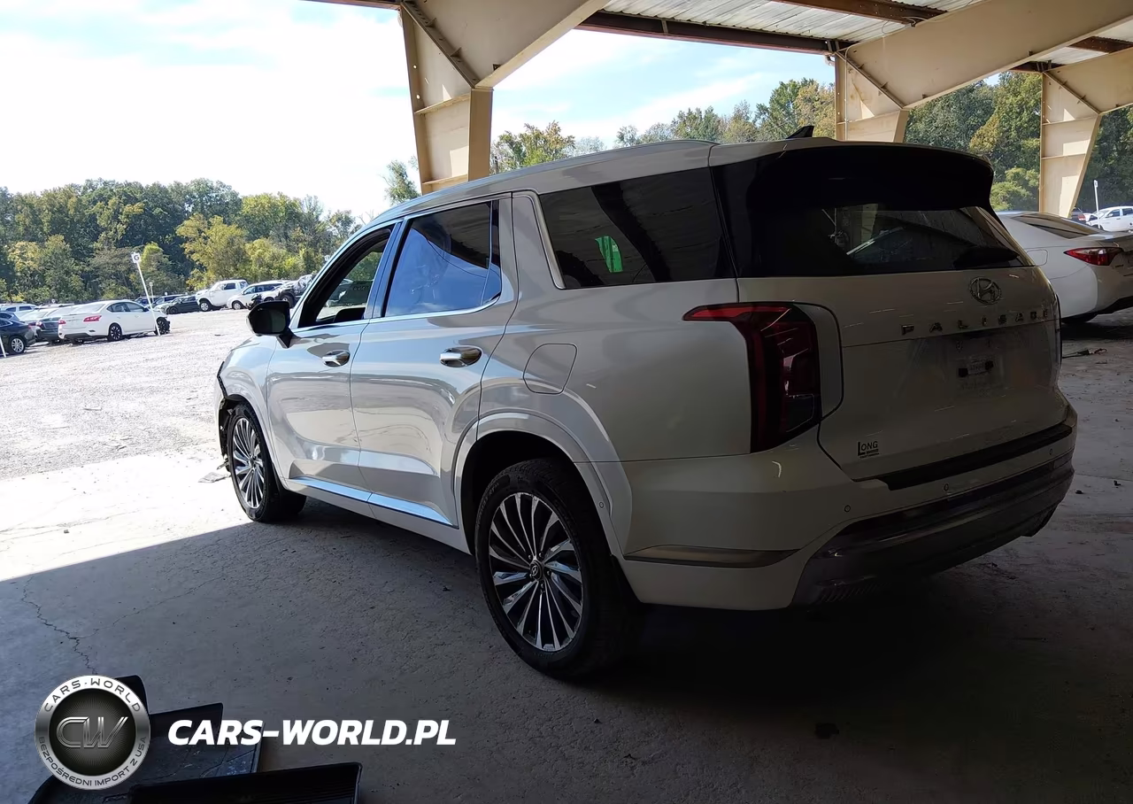 2024 Hyundai Palisade Calligraphy VIN:KM8R7DGEXRU679109 - 3