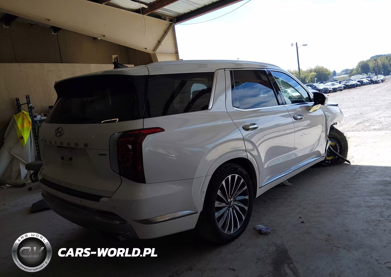 2024 Hyundai Palisade Calligraphy VIN:KM8R7DGEXRU679109 - 4