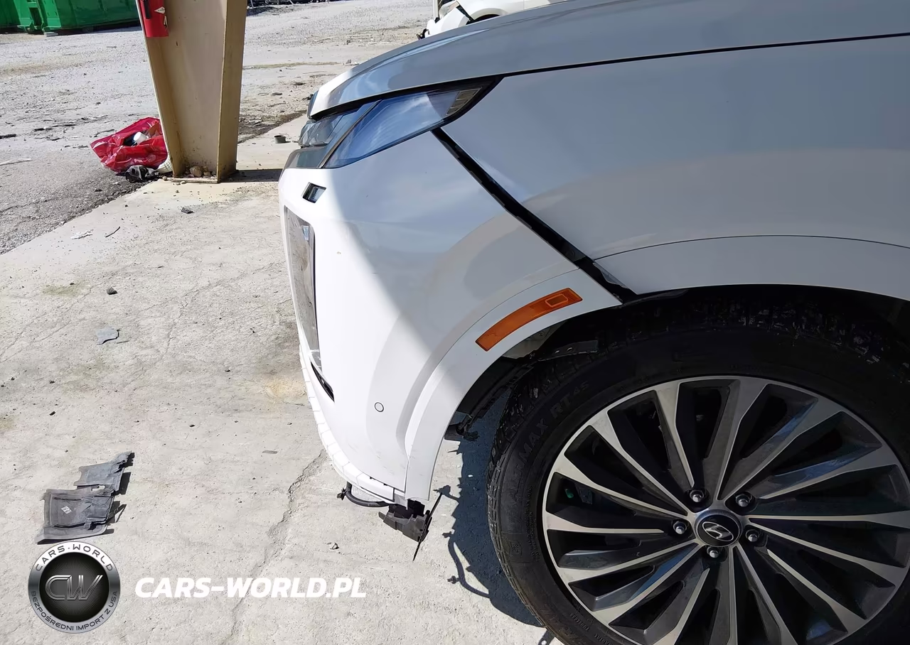2024 Hyundai Palisade Calligraphy VIN:KM8R7DGEXRU679109 - 6