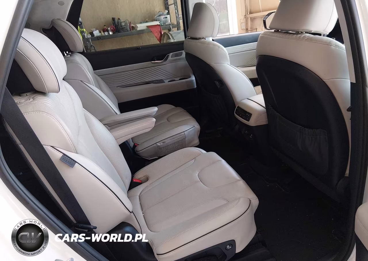 2024 Hyundai Palisade Calligraphy VIN:KM8R7DGEXRU679109 - 8