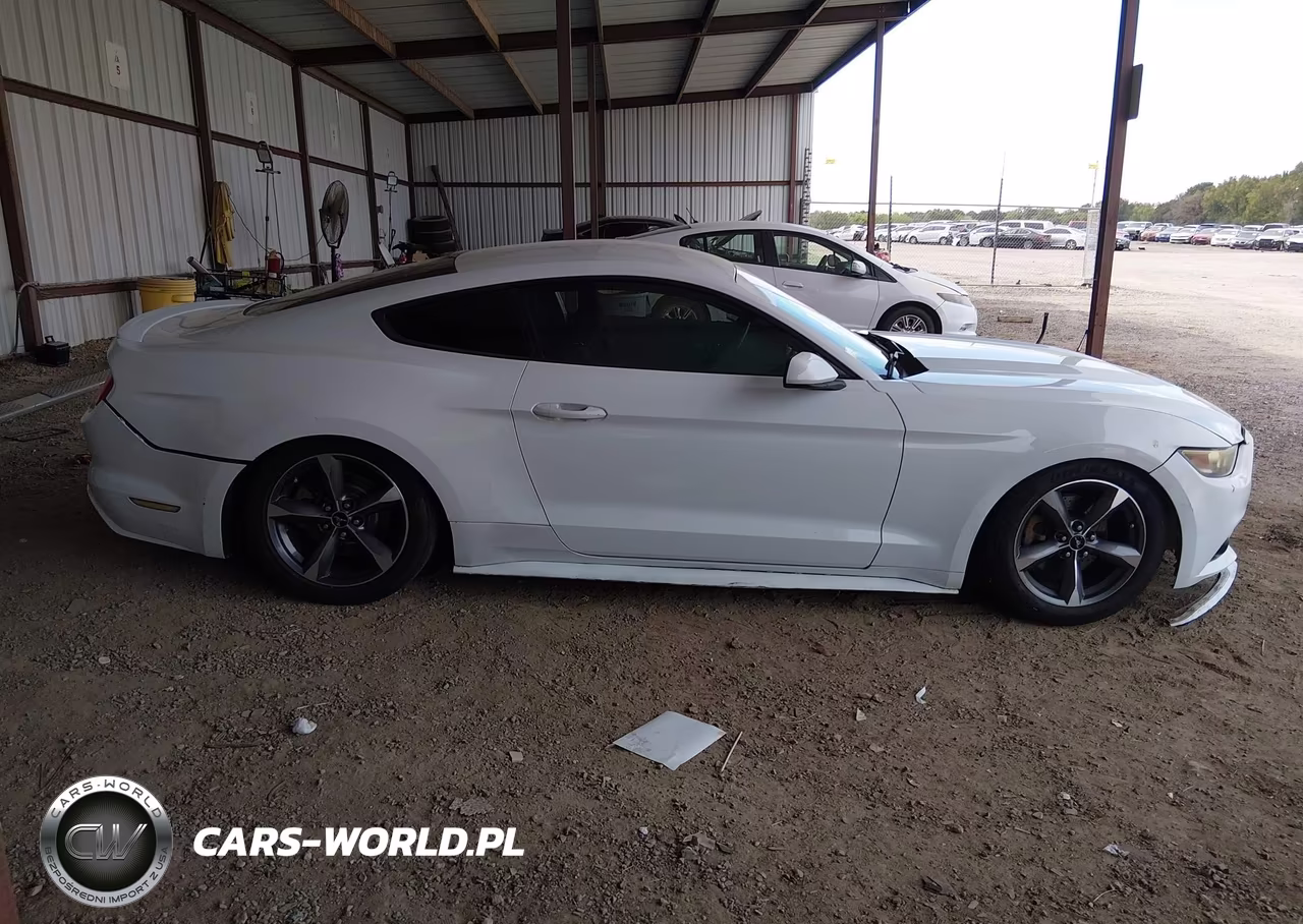 2015 Ford Mustang V6 VIN:1FA6P8AM2F5372480 - 13