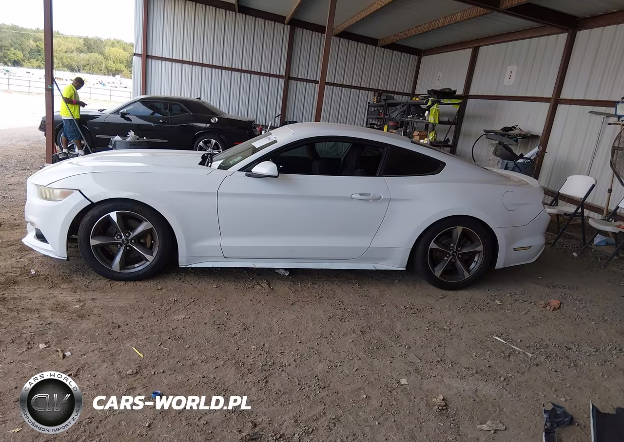 2015 Ford Mustang V6 VIN:1FA6P8AM2F5372480 - 14