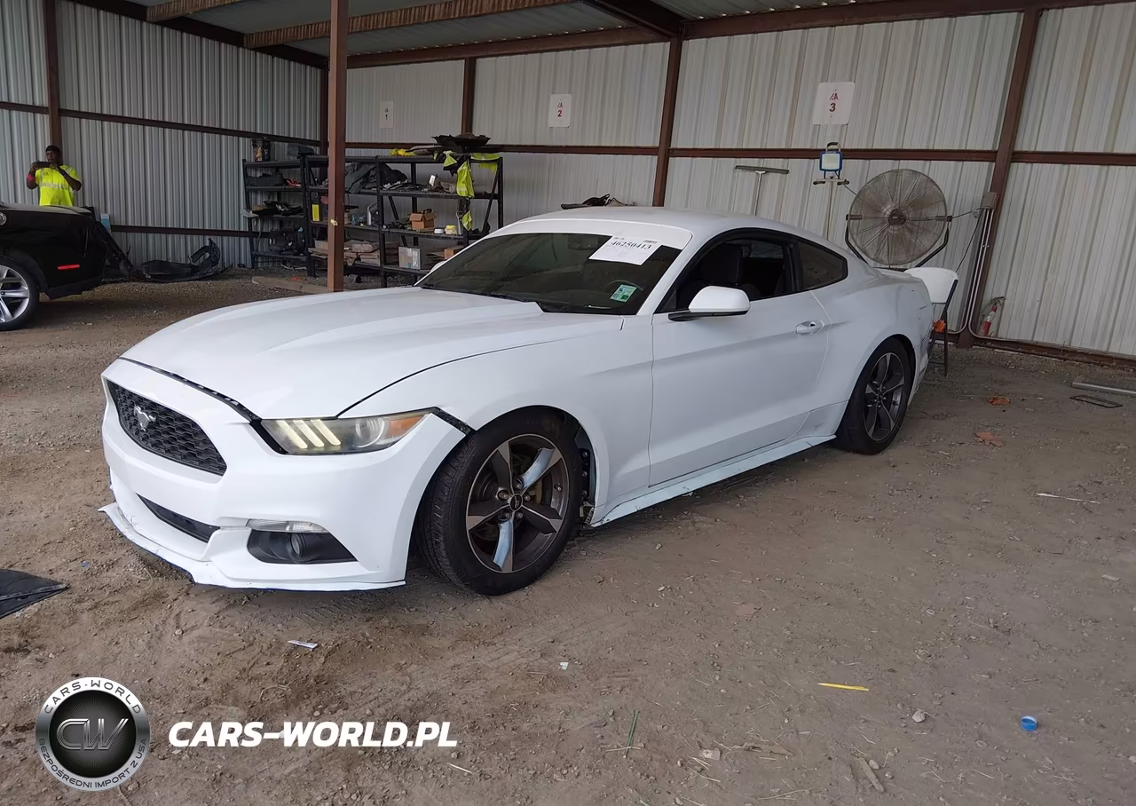 2015 Ford Mustang V6 VIN:1FA6P8AM2F5372480 - 2