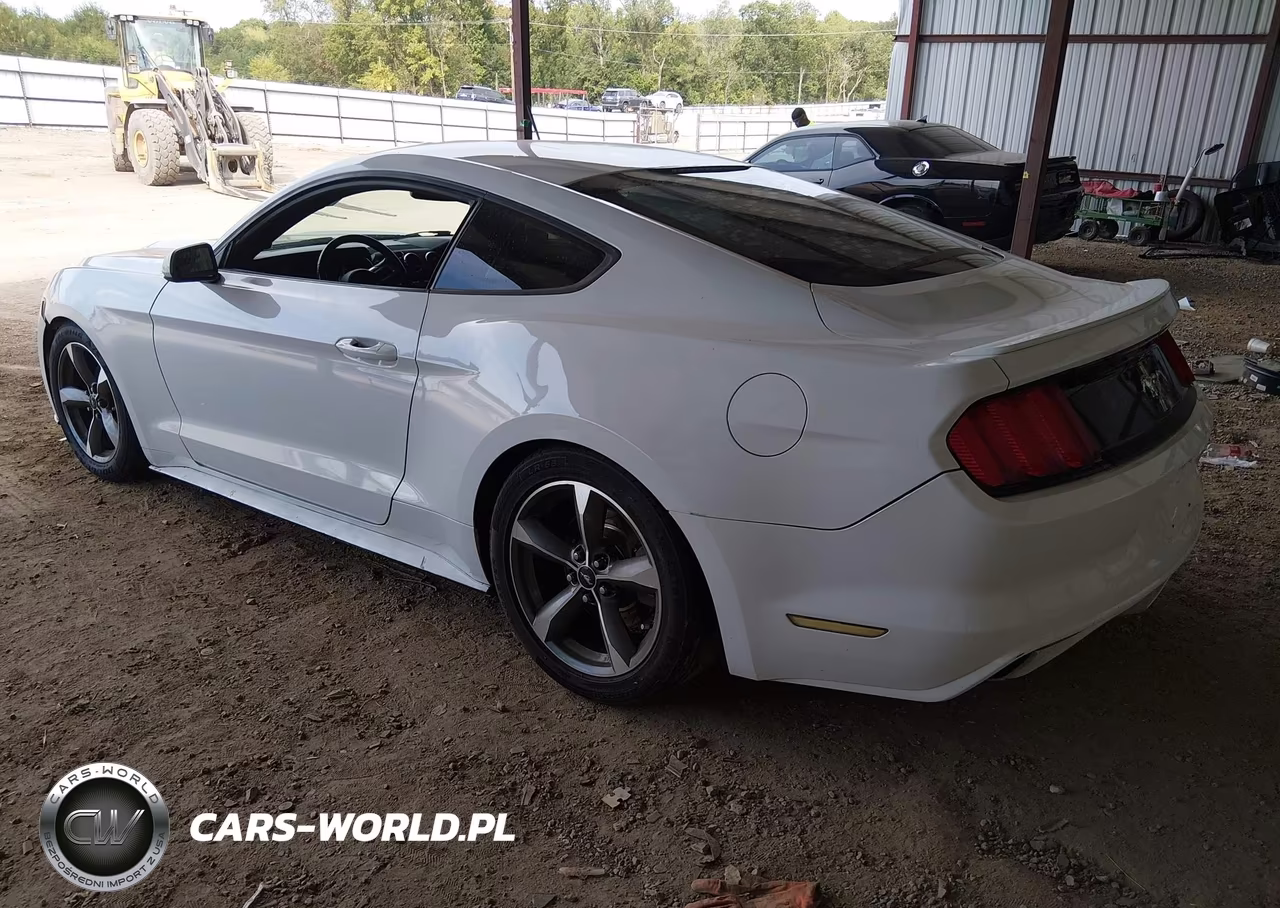 2015 Ford Mustang V6 VIN:1FA6P8AM2F5372480 - 3
