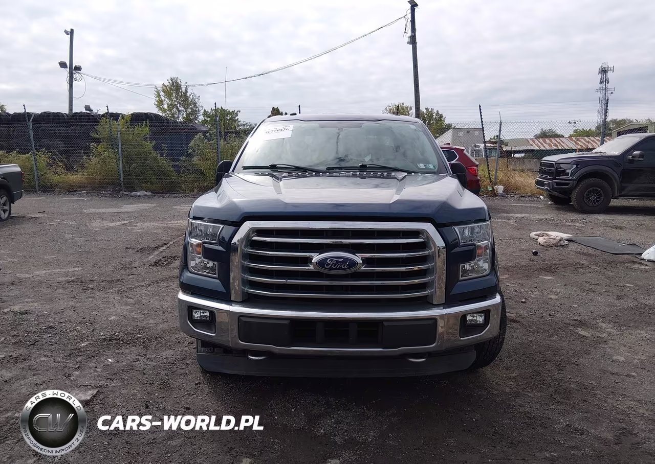 2016 Ford F-150 Xlt VIN:1FTEW1EP1GFA49487 - 12