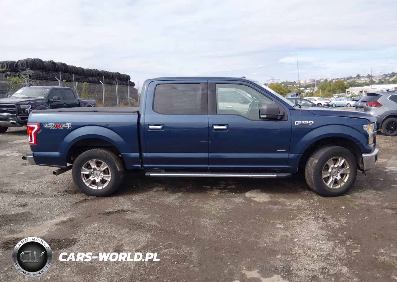 2016 Ford F-150 Xlt VIN:1FTEW1EP1GFA49487 - 13
